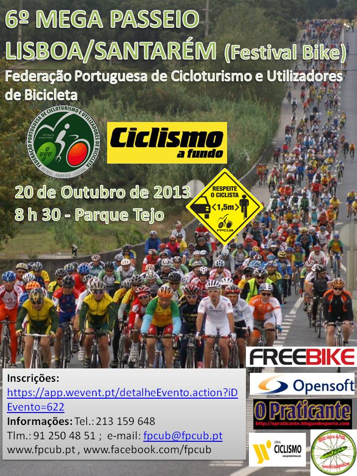 cartaz_2013_final