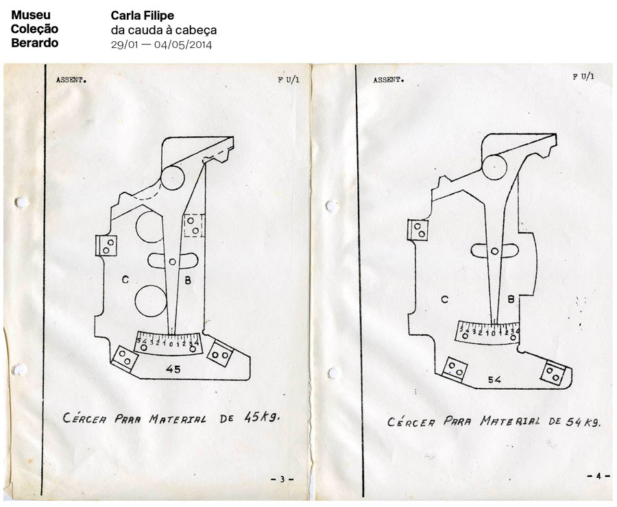 Carla Filipe. da cauda à cabeça
