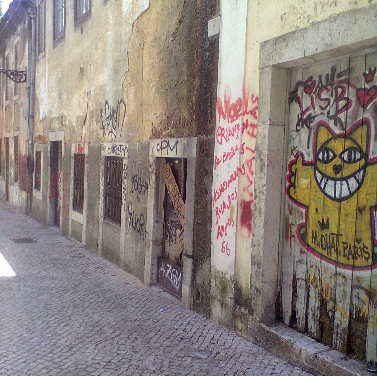M. Chat antes - Cópia