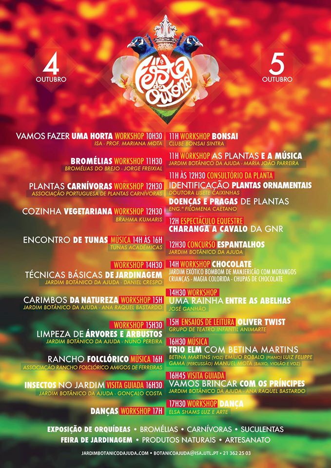 11ª FESTA DO OUTONO