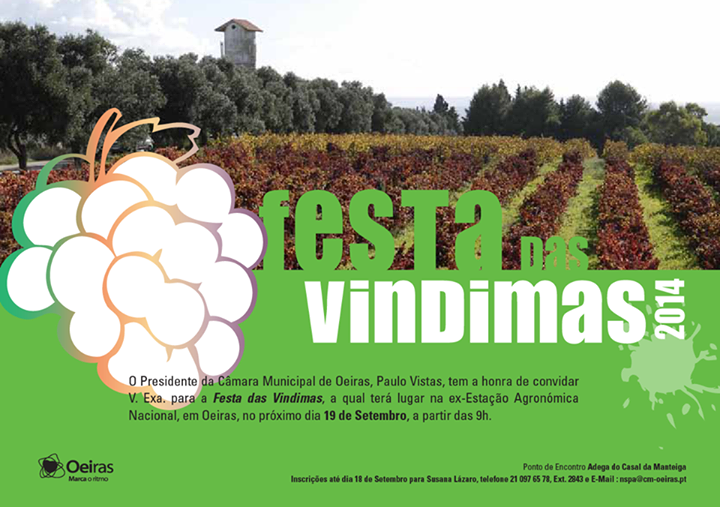 Festa das Vindimas
