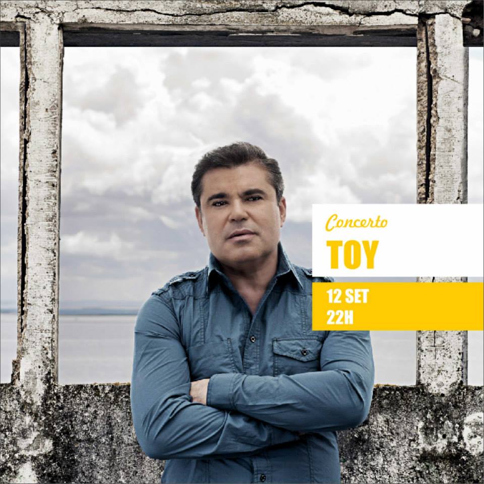 Toy