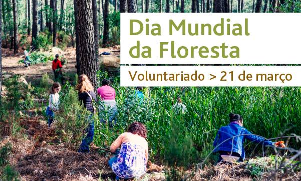 Dia Mundial da Floresta Voluntariado Sintra
