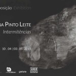 INTERMITÊNCIAS de Catarina Pinto Leite