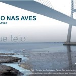 De olho nas Aves