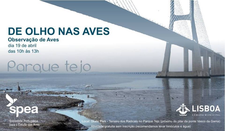 De olho nas Aves