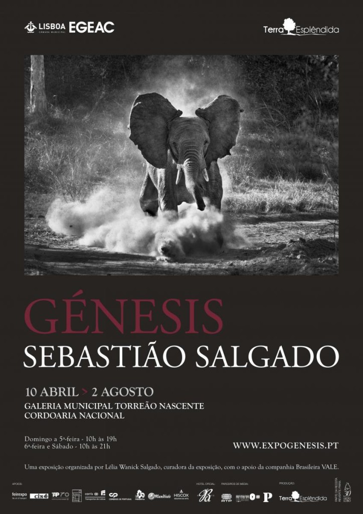 Génesis - Sebastião Salgado