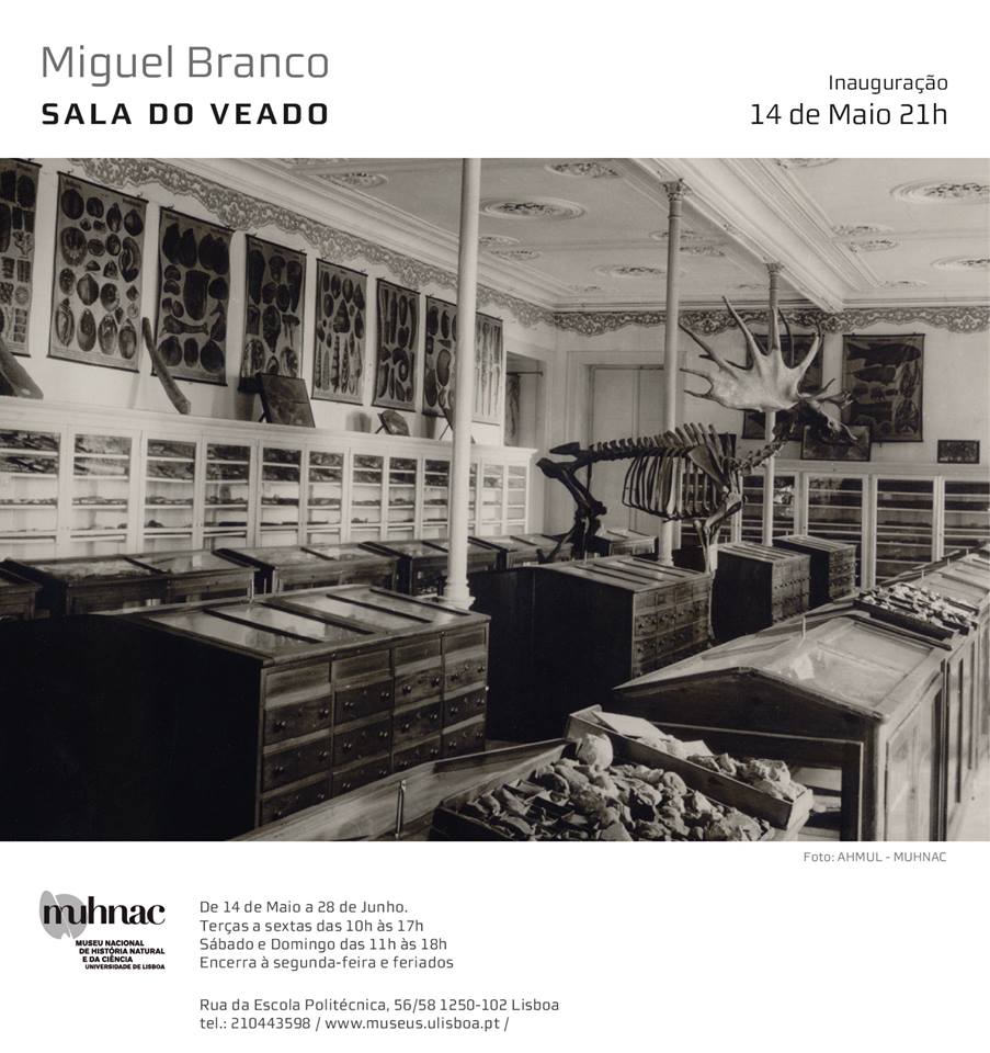 Miguel Branco - Sala do Veado - Museu Nacional de História Natural e da Ciência