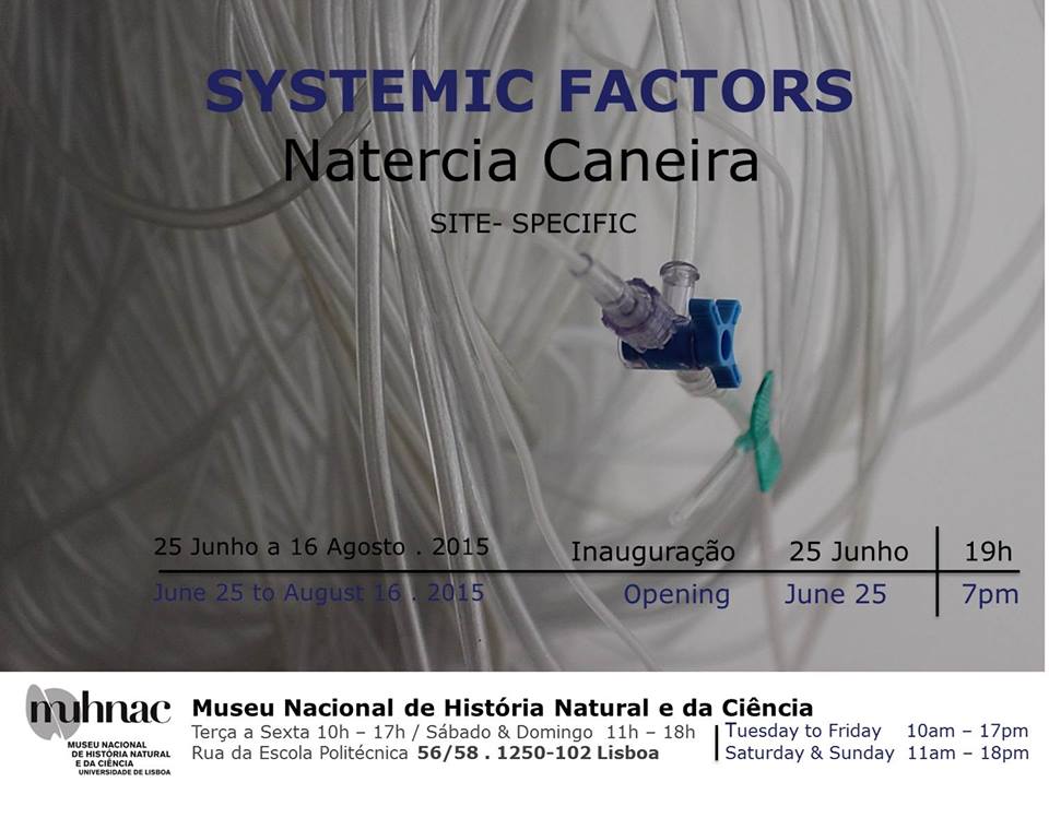 Exposição Systemic Factors de Natercia Caneira