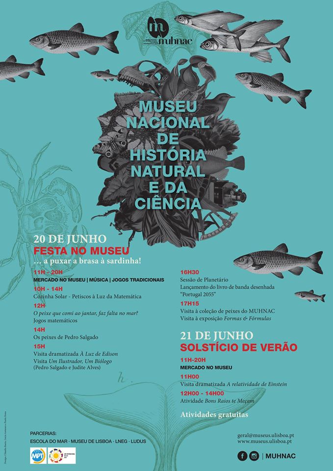 Festa no Museu & Solstício de Verão - Museu Nacional de História Natural e da Ciência