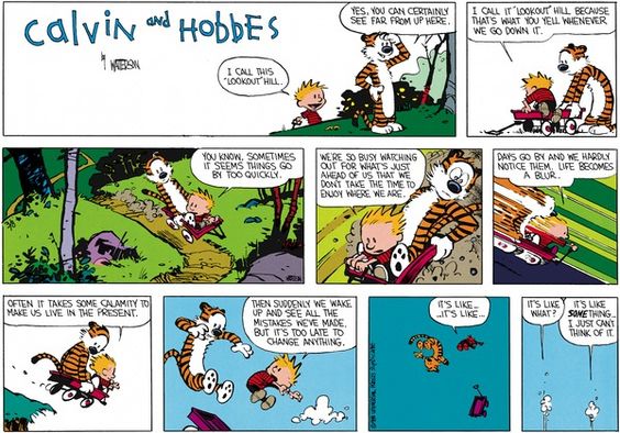 Calvin-and-Hobbes