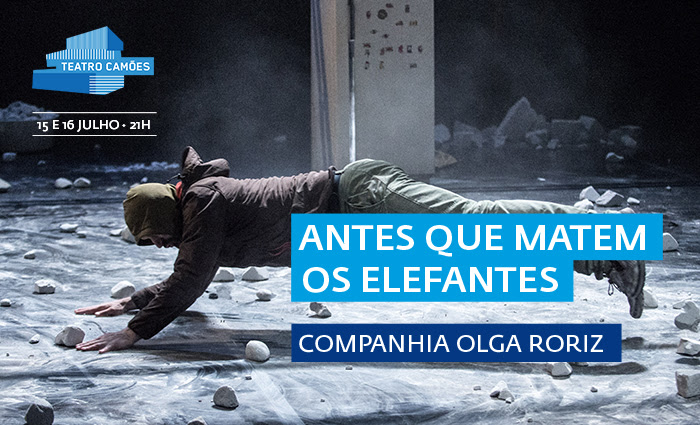 antes-que-matem-os-elefantes-companhia-olga-roriz