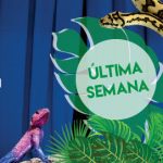 ANIMAIS EXÓTICOS INVADEM O TEATRO