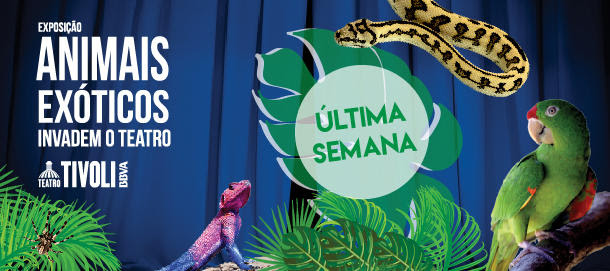 ANIMAIS EXÓTICOS INVADEM O TEATRO