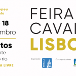 feira-cavalo-lisboa