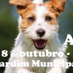 festa-animal-oeiras