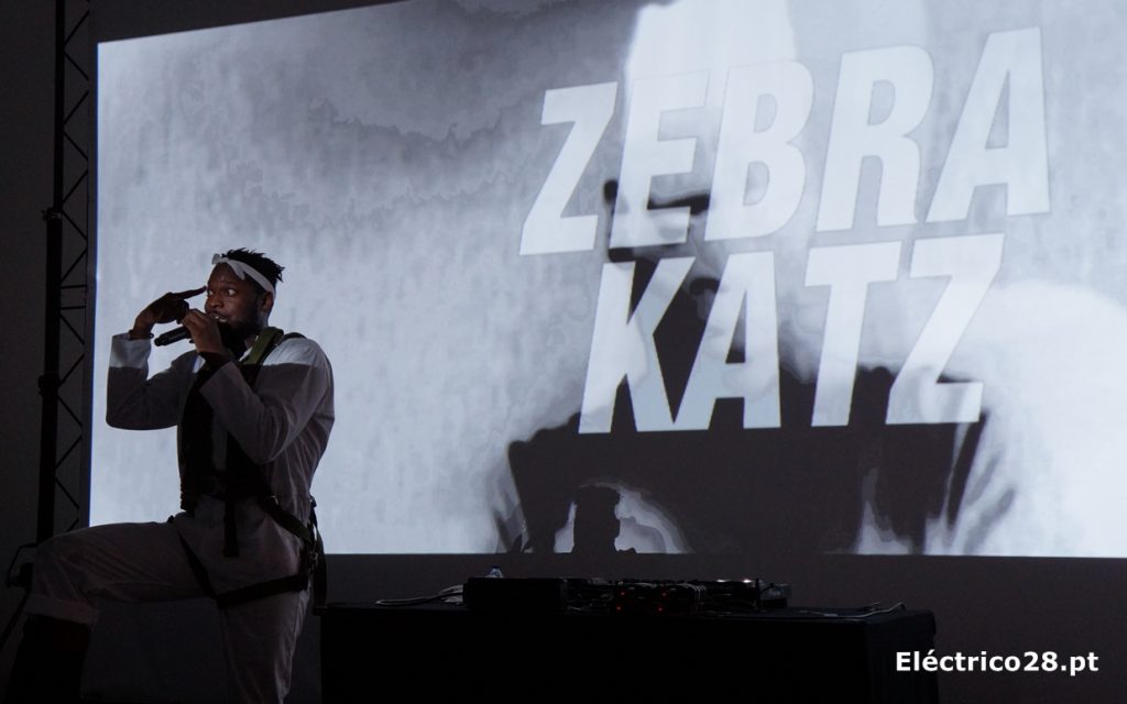 zebra-katz-maat