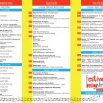 10-festival-imigrarte-programa