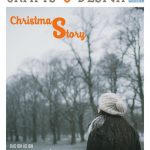 mercado-crafts-design-estrela-christmas-story