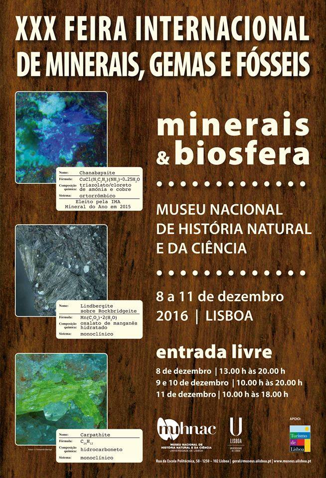 xxx-feira-internacional-minerais-gemas-fosseis