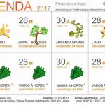 Actividades-Associação-Portuguesa-Educação-Ambiental
