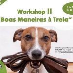 Boas-Maneiras-à-Trela-Quinta-Monte-dos-Vendavais
