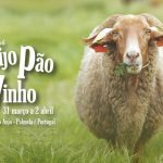 Festival-Queijo-Pão-Vinho-Setúbal