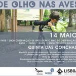 De-Olho-nas-Aves-Quinta-das-Conchas