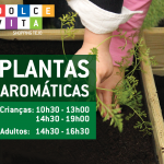 Plantas-Aromáticas-Dolce-Vita-Tejo