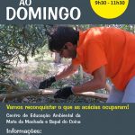 Centro-Educação-Ambiental-Barreiro-Acácias