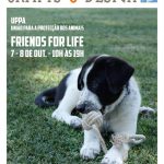 Crafts-and-Design-Outubro-2017-Jardim-da-Estrela