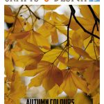 Crafts-and-Design-Novembro-2017-Jardim-da-Estrela