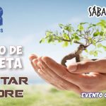 Passeio-Bicicleta-Plantar-Árvore