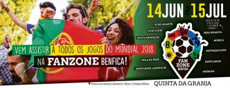 Se não queres assistir ao Mundial sozinho em casa, o Eléctrico 28 dá-te 5 sugestões de sítios para viveres as emoções do futebol ao máximo!!!