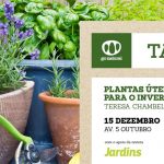 Talk-Jardinagem- Plantas-Úteis-Inverno-Go-Natural-Teresa-Chambel