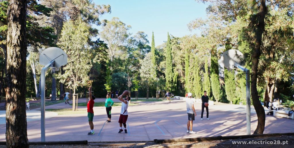 Basquetebol Monsanto