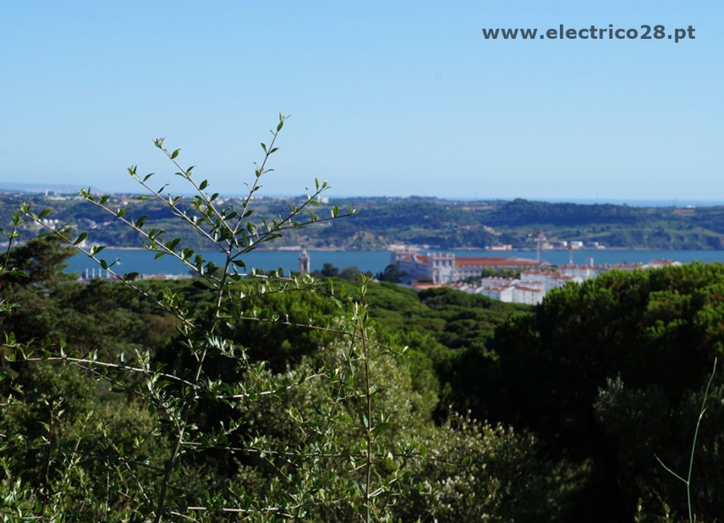 Vista Miradouro Keil do Amaral Monsanto